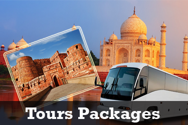 Domestic Holidays Tour Packages in Ahmedabad